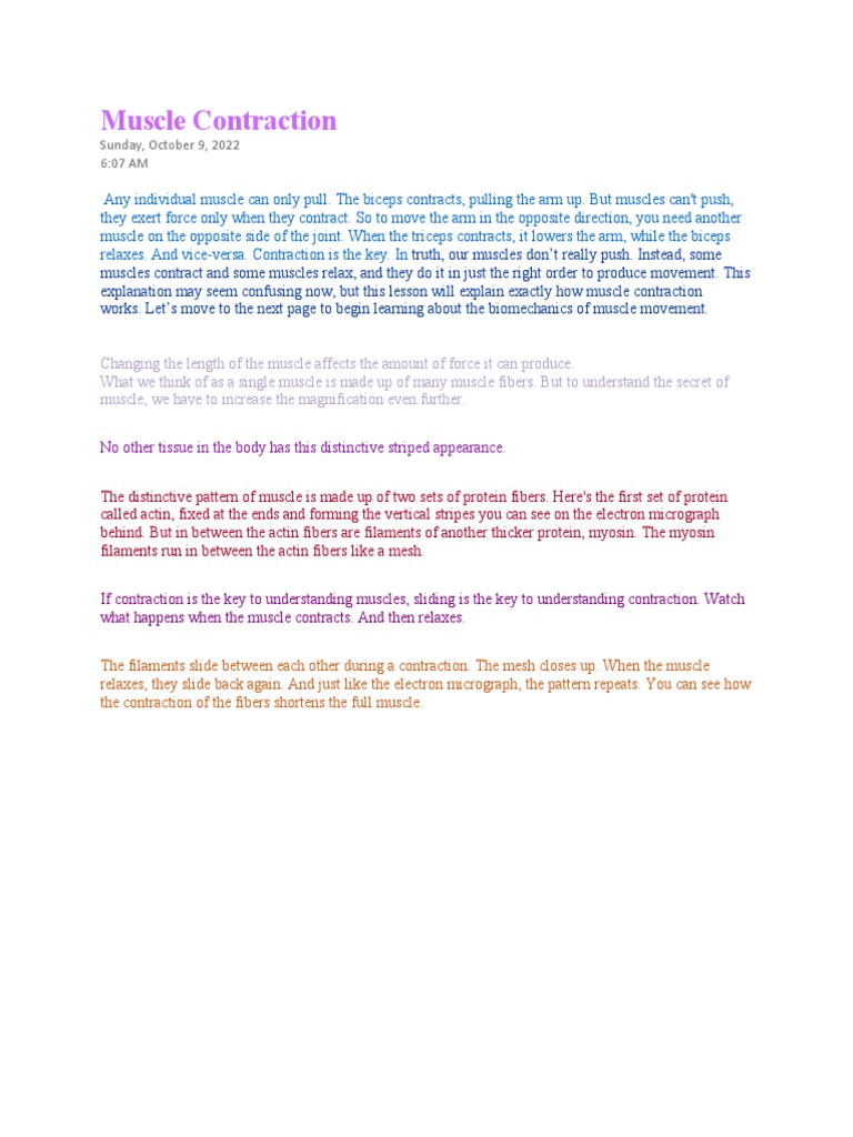 Muscle Contraction | PDF | Skeletal Muscle | Muscle Contraction