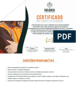 Modelo Certificado de NR 12