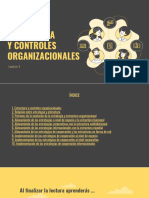 RESUMEN PPT - Estructura y Controles Organizacionales