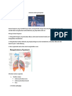 Pertemuan 3 Sistem Pernapasan