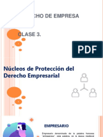 CLASE 3 - Núcleos de Protección Del Derecho Empresarial Corregido