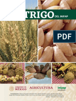 5120 Variedades de Trigo Del INIFAP