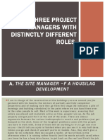 Three Project Managers with Distinct Roles