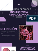 Enfermedad Renal Cronica