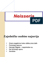 Neisseria PD