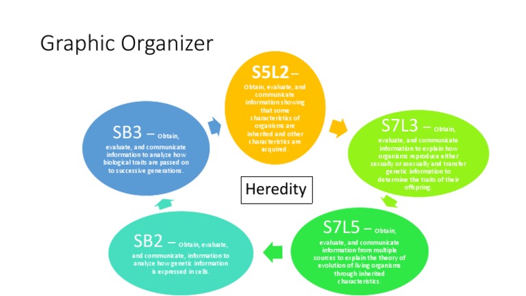 Science Assignment - Graphic Organizer | PDF