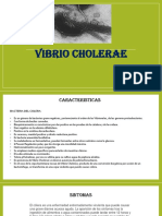 Presentacion de Vibrio Cholerae