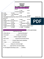 Past simple & continuous homework