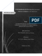 2016 La Suspensión Del Acto Reclamado Con Efectos Restitutorios Provisionales en El Amparo Indirecto - Elementos para Su Procedencia Original