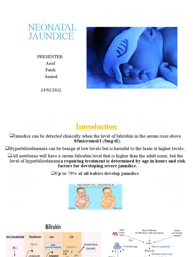 Neonatal Jaundice Cme 3 PDF Breastfeeding Red Blood Cell