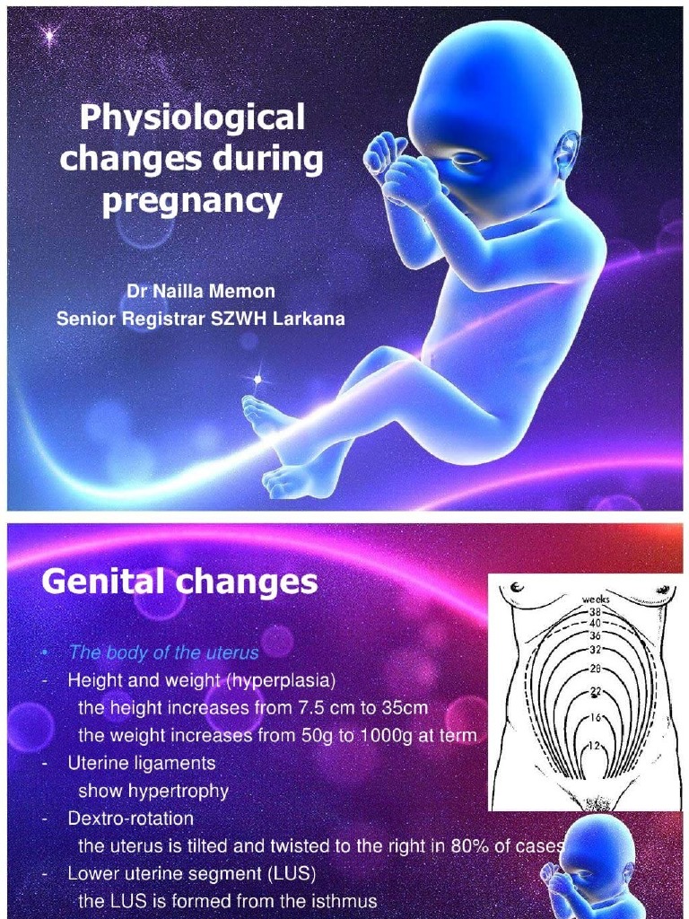 Physiological Changes During Pregnancy | PDF
