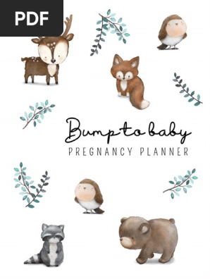 PregnancyPlanner (1)