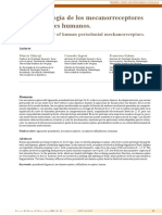 Neurofisiología de Los Mecanorreceptores Periodontales Humanos