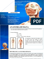 Anatomia Exposición