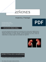 Expo Fisio Riñones