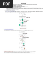 Dna Repair