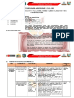 EdA 5 - 3° Grado 2022