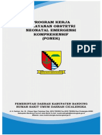 Program Kerja PONEK