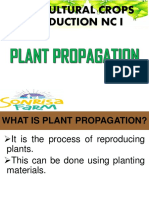 Plant Propagation