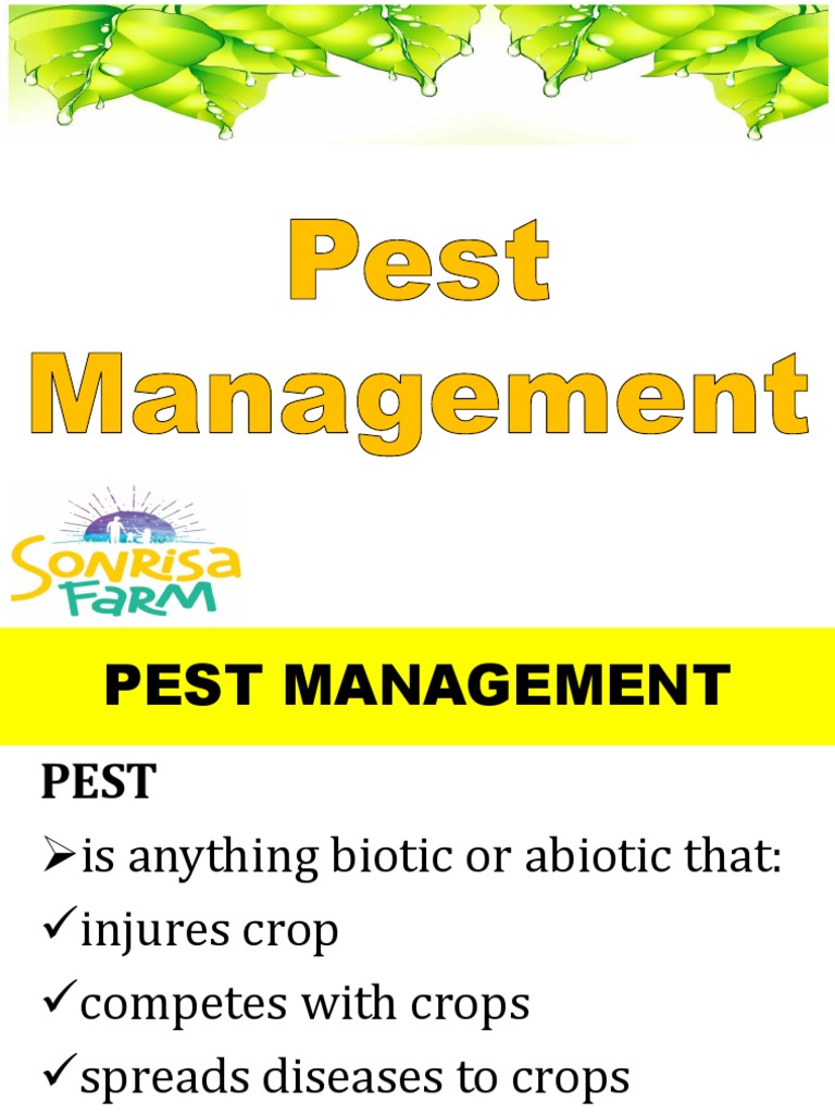 Pest Management PDF Pest Insects