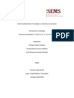 Identificacion de Carbohidratos