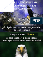 A Vida de Uma Águia