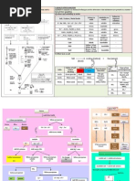 Salt Colors by Cation Type | PDF