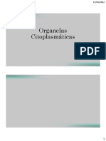 Aula 04 - Organelas Citoplasmáticas