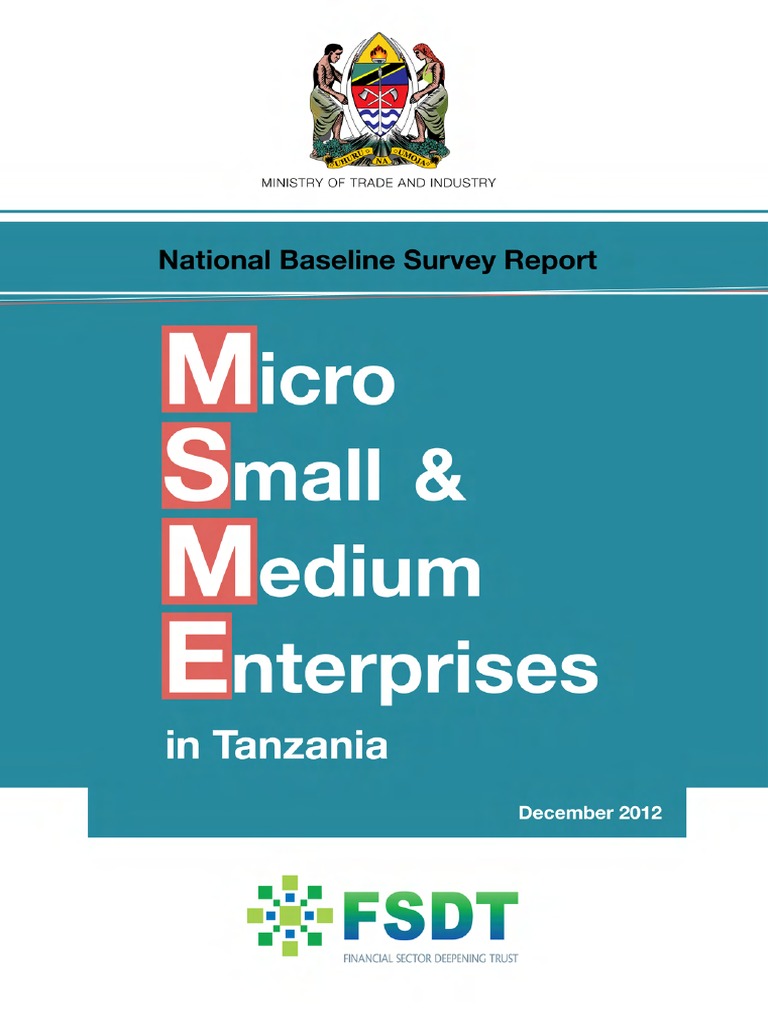 MSME Baseline Survey Report Tanzania | PDF | Small And Medium Sized ...