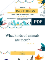 Kinds of Animals
