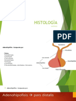 Histologìa y Fisiologia de La Unidad Hipotalamo - Hipofisis