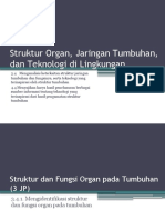 Struktur Dan Fungsi Organ Tumbuhan