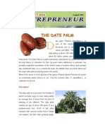 The Date Palm: A Concise Guide to Cultivation and Uses