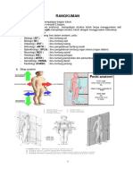 Rangkuman Anatomi