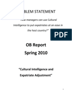 OB Report - Expatriate Adjustment