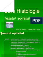 Curs 1 Tesut Epitelial PDF