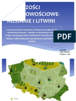 Mniejszości Narodowościowe - Rosjanie I Litwini