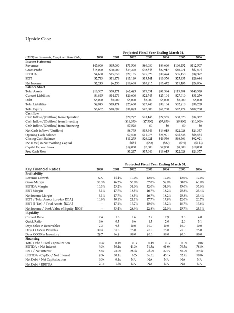 Private Equity Buy Side Financial Model and Valuation Valuation