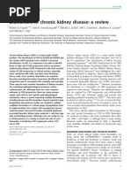 Biomarkers in Chronic Kidney Disease: A Review