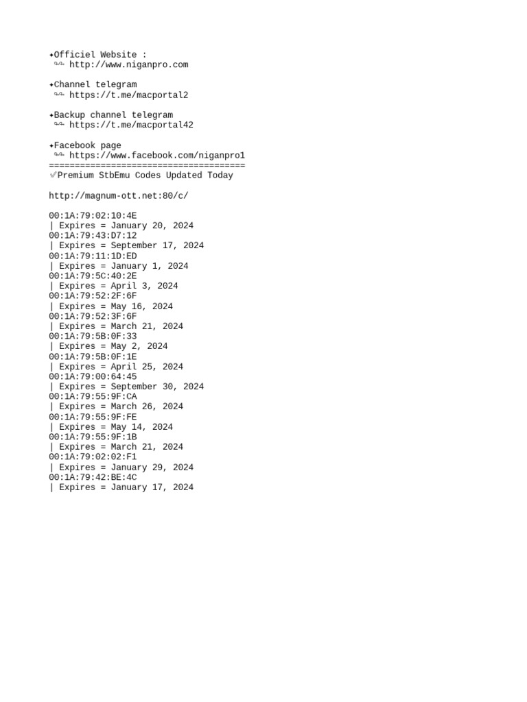 Magnum Ott | PDF | Computers