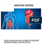 5-Digestive system