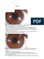 Iridology & Sclerology Analysis Report