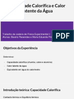 Apresentação - Capacidade Calorífica e Calor - PL13 Grupo 1, Turno 2