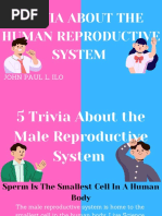 Trivia About The Human Reproductive System