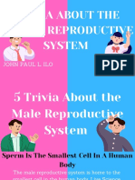 Trivia About The Human Reproductive System
