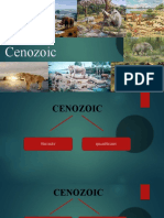 Cenozoic