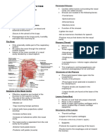 The Respiratory System: Anatomy and Functions