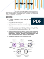 Plasmodium Vivax