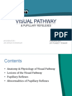 Visual Pathway Anatomy and Pupillary Reflex Abnormalities