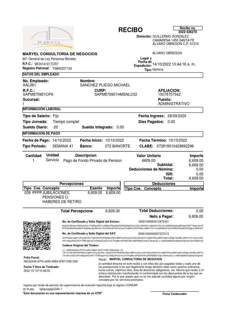 Recibo Maryel Consultoria de Negocios PDF Pensión Economias